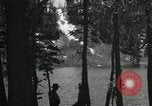 Image of Film Nature's Classics United States USA, 1920, second 32 stock footage video 65675031986