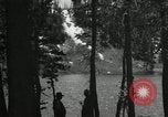 Image of Film Nature's Classics United States USA, 1920, second 34 stock footage video 65675031986