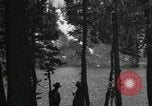 Image of Film Nature's Classics United States USA, 1920, second 35 stock footage video 65675031986
