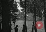 Image of Film Nature's Classics United States USA, 1920, second 36 stock footage video 65675031986