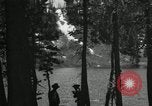Image of Film Nature's Classics United States USA, 1920, second 37 stock footage video 65675031986