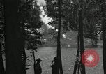 Image of Film Nature's Classics United States USA, 1920, second 38 stock footage video 65675031986