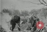Image of John Burroughs West Park New York USA, 1920, second 18 stock footage video 65675031989