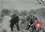 Image of John Burroughs West Park New York USA, 1920, second 20 stock footage video 65675031989