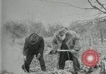 Image of John Burroughs West Park New York USA, 1920, second 21 stock footage video 65675031989