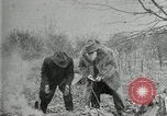 Image of John Burroughs West Park New York USA, 1920, second 22 stock footage video 65675031989
