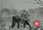 Image of John Burroughs West Park New York USA, 1920, second 23 stock footage video 65675031989