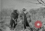 Image of John Burroughs West Park New York USA, 1920, second 26 stock footage video 65675031989