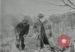Image of John Burroughs West Park New York USA, 1920, second 28 stock footage video 65675031989
