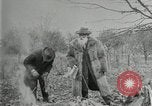 Image of John Burroughs West Park New York USA, 1920, second 29 stock footage video 65675031989