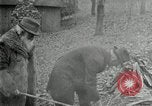 Image of John Burroughs West Park New York USA, 1920, second 46 stock footage video 65675031989
