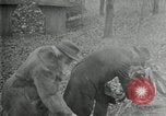 Image of John Burroughs West Park New York USA, 1920, second 50 stock footage video 65675031989