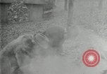 Image of John Burroughs West Park New York USA, 1920, second 54 stock footage video 65675031989