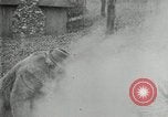 Image of John Burroughs West Park New York USA, 1920, second 55 stock footage video 65675031989