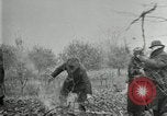 Image of John Burroughs West Park New York USA, 1920, second 62 stock footage video 65675031989
