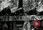 Immagine di Parte campeggio Maryland United States USA, 1921, secondo 35 filmato di repertorio 65675031991