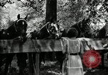 Immagine di Parte campeggio Maryland United States USA, 1921, secondo 37 filmato di repertorio 65675031991