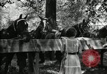 Immagine di Parte campeggio Maryland United States USA, 1921, secondo 38 filmato di repertorio 65675031991