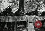 Immagine di Parte campeggio Maryland United States USA, 1921, secondo 39 filmato di repertorio 65675031991