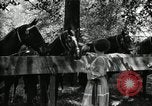 Immagine di Parte campeggio Maryland United States USA, 1921, secondo 41 filmato di repertorio 65675031991