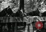 Immagine di Parte campeggio Maryland United States USA, 1921, secondo 42 filmato di repertorio 65675031991