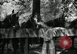 Immagine di Parte campeggio Maryland United States USA, 1921, secondo 43 filmato di repertorio 65675031991