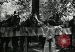 Immagine di Parte campeggio Maryland United States USA, 1921, secondo 47 filmato di repertorio 65675031991