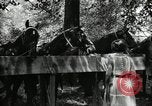 Immagine di Parte campeggio Maryland United States USA, 1921, secondo 48 filmato di repertorio 65675031991