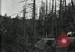 Image of group camping Maryland United States USA, 1921, second 3 stock footage video 65675032000