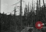 Image of group camping Maryland United States USA, 1921, second 7 stock footage video 65675032000