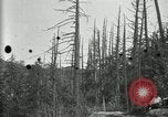 Image of group camping Maryland United States USA, 1921, second 8 stock footage video 65675032000