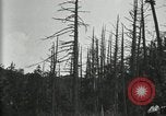 Image of group camping Maryland United States USA, 1921, second 9 stock footage video 65675032000