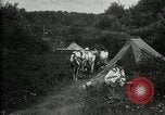 Image of Warren G Harding camping with Ford, Firestone, and Edison Maryland United States USA, 1921, second 48 stock footage video 65675032004