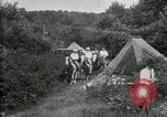 Image of Warren G Harding camping with Ford, Firestone, and Edison Maryland United States USA, 1921, second 50 stock footage video 65675032004