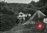 Image of Warren G Harding camping with Ford, Firestone, and Edison Maryland United States USA, 1921, second 51 stock footage video 65675032004