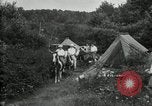 Image of Warren G Harding camping with Ford, Firestone, and Edison Maryland United States USA, 1921, second 52 stock footage video 65675032004