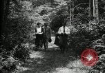 Immagine di Gruppo camping Maryland United States USA, 1921, secondo 18 filmato di repertorio 65675032007