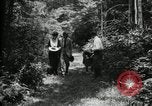 Immagine di Gruppo camping Maryland United States USA, 1921, secondo 19 filmato di repertorio 65675032007