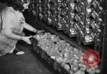 Standbild Huhn ausgebrütet New Brunswick New Jersey USA, 1941, aus Sekunde 5 historischem Filmmaterial Videoclip 65675032025