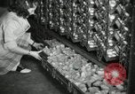 Standbild Huhn ausgebrütet New Brunswick New Jersey USA, 1941, aus Sekunde 6 historischem Filmmaterial Videoclip 65675032025