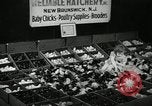 Standbild Huhn ausgebrütet New Brunswick New Jersey USA, 1941, aus Sekunde 11 historischem Filmmaterial Videoclip 65675032025