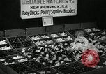 Standbild Huhn ausgebrütet New Brunswick New Jersey USA, 1941, aus Sekunde 13 historischem Filmmaterial Videoclip 65675032025