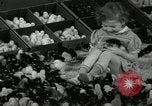 Standbild Huhn ausgebrütet New Brunswick New Jersey USA, 1941, aus Sekunde 15 historischem Filmmaterial Videoclip 65675032025