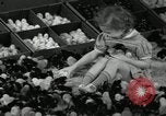 Standbild Huhn ausgebrütet New Brunswick New Jersey USA, 1941, aus Sekunde 16 historischem Filmmaterial Videoclip 65675032025