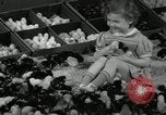 Standbild Huhn ausgebrütet New Brunswick New Jersey USA, 1941, aus Sekunde 17 historischem Filmmaterial Videoclip 65675032025