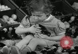 Standbild Huhn ausgebrütet New Brunswick New Jersey USA, 1941, aus Sekunde 24 historischem Filmmaterial Videoclip 65675032025