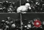 Standbild Huhn ausgebrütet New Brunswick New Jersey USA, 1941, aus Sekunde 31 historischem Filmmaterial Videoclip 65675032025