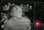 Standbild Huhn ausgebrütet New Brunswick New Jersey USA, 1941, aus Sekunde 37 historischem Filmmaterial Videoclip 65675032025