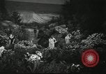 Standbild Blumen und Garten anzeigen Seattle Washington USA, 1941, aus Sekunde 17 historischem Filmmaterial Videoclip 65675032026