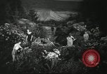 Standbild Blumen und Garten anzeigen Seattle Washington USA, 1941, aus Sekunde 19 historischem Filmmaterial Videoclip 65675032026